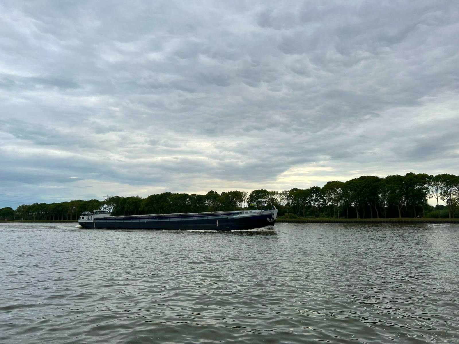 Amesa — thumbnail 3